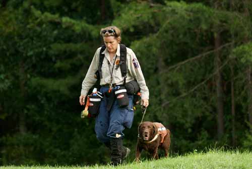 0410104SearchDog.jpg