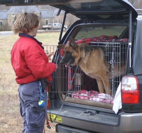 dog-handler.jpg